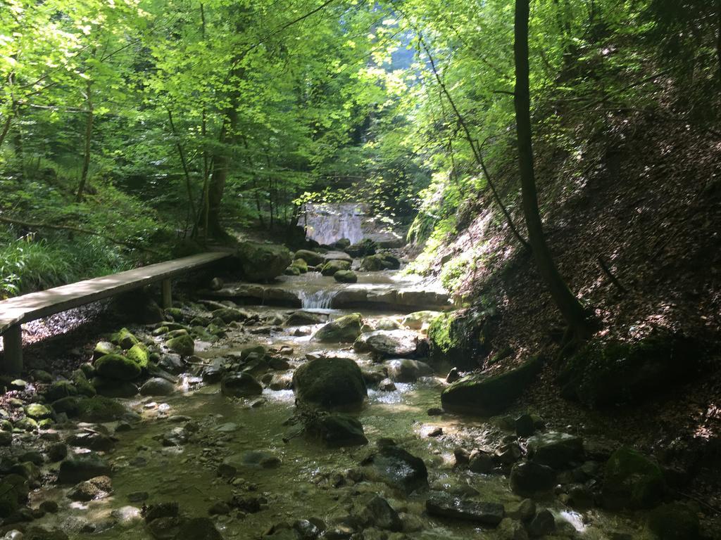 Bed And Breakfast Oase Im Seetal Gelfingen Εξωτερικό φωτογραφία
